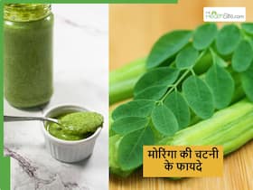 सर्दियों में हफ्ते में एक बार जरूर खाएं मोरिंगा के पत्तों की चटनी, शरीर से दूर होने लगेंगे ये 5 समस्याएं