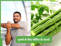 पुरुषों की इन 5 समस्याओं में रामबाण है मोरिंगा, फायदे जान जरूर खाएंगे आप