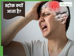 स्ट्रोक क्यों आता है? जानें इसके पीछे के मुख्य कारण