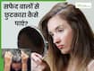 सफेद बालों से छुटकारा कैसे पाएं? जानें व्हाइट हेयर से जुड़े 5 सवालों के जवाब