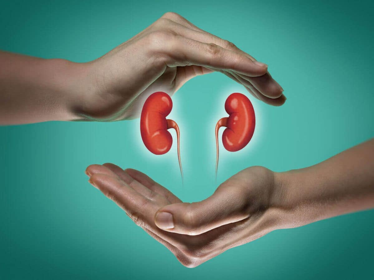 kidney and liver