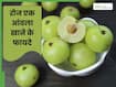 सर्दियों में रोज 1 आंवला खाने से क्या होता है? जानें इसके फायदे