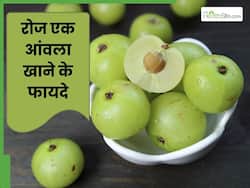 सर्दियों में रोज 1 आंवला खाने से क्या होता है? जानें इसके फायदे