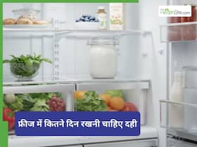 फ्रीज में रखी दही कितने दिन खा सकते हैं? एक्सपर्ट बता रहे हैं फ्रीज में दही स्टोर करने का सही तरीका फ्रीज में रखी दही कितने दिन खा सकते हैं? एक्सपर्ट बता रहे हैं फ्रीज में दही स्टोर करने का सही तरीका