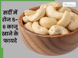 सर्दियों में रोज खाएं 5-6 काजू, सेहत को मिलेंगे कई जबरदस्त फायदे