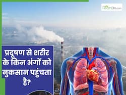 सिर्फ फेफड़ों को नहीं, इन 5 अंगों को भी नुकसान पहुंचाता है प्रदूषण, इस तरह से करें बचाव