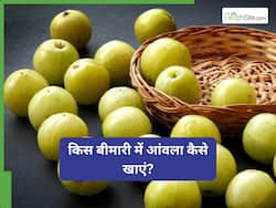 हेयर फॉल से लेकर स्किन पिंपल्स तक को कम करेगा आंवला, बस जान ले इसे खाने का सही तरीका
