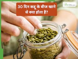30 दिन तक कद्दू के बीज खाने से क्या होता है? खाने से दाग-धब्बे होंगे दूर; वजन घटाने में भी मिलेगी मदद