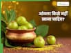 किन लोगों को आंवला नहीं खाना चाहिए? जानें, इससे होने वाले नुकसान