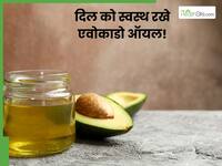 एवोकाडो ऑयल कुकिंग के लिए है बेस्ट, लिवर से लेकर हार्ट को रखता है स्वस्थ