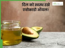 एवोकाडो ऑयल कुकिंग के लिए है बेस्ट, लिवर से लेकर हार्ट को रखता है स्वस्थ