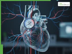 Early Blood Pressure Changes Can Predict Heart Attack Risk 10 Years Before Symptoms Appear, Warns Cardiologist