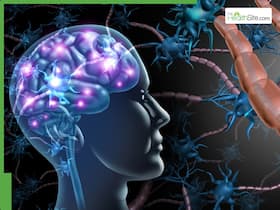 Brain Aneurysm Causes: How Uncontrolled High Blood Pressure Increases Your Risk of Silent Brain Damage