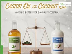 Hair Growth Tips For Winter: Castor Oil vs Coconut Oil, Which Is Better For Dandruff Control And Hair Growth?