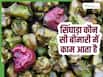 किन बीमारियों में फायदेमंद होता है सिंघाड़ा? जाने खाने का क्या है सही तरीका