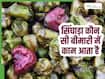 किन बीमारियों में फायदेमंद होता है सिंघाड़ा? जाने खाने का क्या है सही तरीका