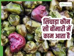किन बीमारियों में फायदेमंद होता है सिंघाड़ा? जाने खाने का क्या है सही तरीका