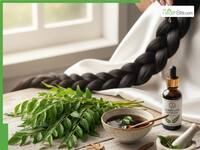 Curry Leaves For Hair Growth: How To Use Kadi Patta For Strong, Healthy Hair This Winter?