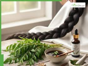 Curry Leaves For Hair Growth: How To Use Kadi Patta For Thick, Healthy Tresses Curry Leaves For Hair Growth: How To Use Kadi Patta For Thick, Healthy Tresses