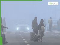 Delhi Fog Alert: Thick Smog-Like Conditions Hit Visibility, Impact Travel And Health