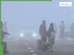 Delhi Fog Alert: Thick Smog-Like Conditions Hit Visibility, Impact Travel And Health