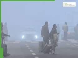 Delhi Fog Alert: Thick Smog-Like Conditions Hit Visibility, Impact Travel And Health