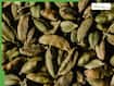 One Elaichi Every Morning: 5 Winter Health Benefits You Should Know About Chew Cardamom