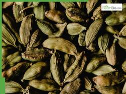 One Elaichi Every Morning: 5 Winter Health Benefits You Should Know About Chew Cardamom