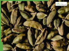 Bank: One Elaichi Every Morning: 5 Winter Health Benefits You Should Know About Chew Cardamom