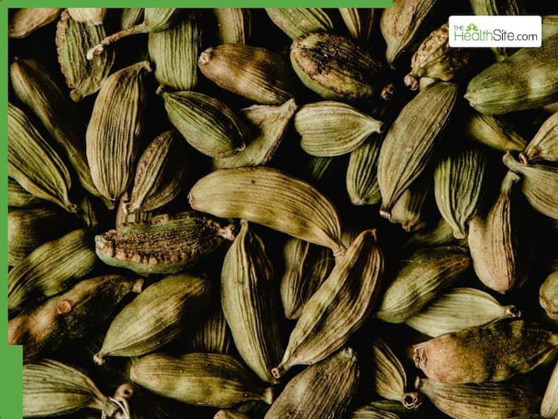 One Elaichi Every Morning: 5 Winter Health Benefits You Should Know About Chew Cardamom