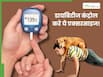 इन 4 एक्सरसाइज से कंट्रोल करें हाई ब्लड शुगर, मोटापा भी होगा कम