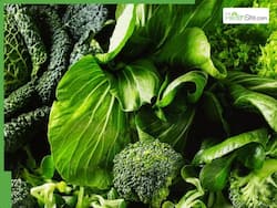 Leafy Greens Benefits In Winter: 8 Reasons You Should Eat Broccoli, Kale, Arugula And More