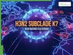 What Is H3N2 Subclade K? New Mutant Flu Strain Spreading Rapidly In The US And Europe, How To Stay Safe
