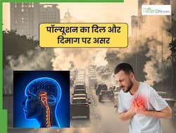 Silent Heart Damage: कैसे PM2.5 सूजन का कारण बनता है जिससे रक्त के थक्के और स्ट्रोक होते हैं?