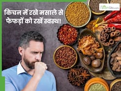 जहरीरी हवा से फेफड़े हो रहे हैं खराब? किचन के इस 1 मसाले से लंग्स को रखें फिट