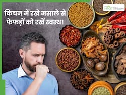 जहरीरी हवा से फेफड़े हो रहे हैं खराब? किचन के इस 1 मसाले से लंग्स को रखें फिट