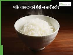 इस तरह से रखा बासी चावल खाना हो सकता है घातक! जान लें स्टोर करने का सही तरीका