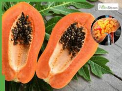 Is Papaya Good Or Bad For Fatty Liver Disease? How To Eat It Safely - Explained