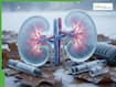 Winter Can Quietly Damage Kidneys In People With Diabetes And High Blood Pressure, Warns Urologist