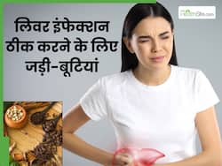 लिवर इन्फेक्शन को ठीक करती हैं ये जड़ी बूटियां, इस तरह करें सेवन