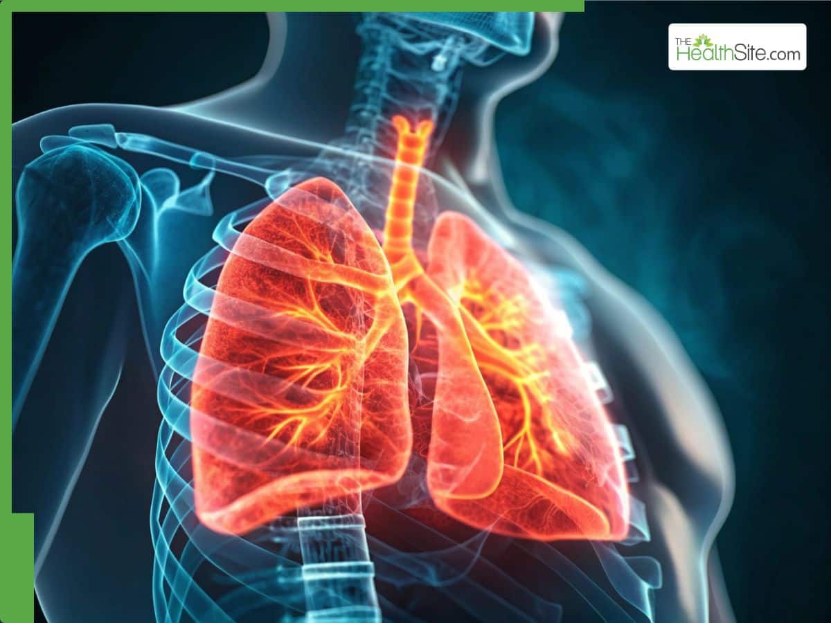 Lung Health: Why Adequate Zinc Intake Is Crucial For Repairing Pollution-Damaged Respiratory Tissue