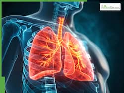 Lung Health: Why Adequate Zinc Intake Is Crucial For Repairing Pollution-Damaged Respiratory Tissue