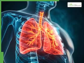 Lung Health: Why Adequate Zinc Intake Is Crucial For Repairing Pollution-Damaged Respiratory Tissue