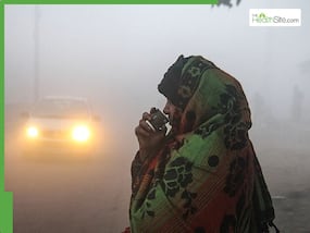 Delhi Weather Updates: IMD Issues Yellow Alert As Cold Wave, Thick Smog Grips National Capital - Check Latest Forecast