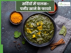 सर्दियों में पालक पनीर खाने के फायदे क्या हैं? जानें, इसकी स्वादिष्ट रेसिपी