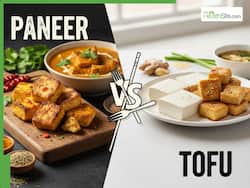 Paneer vs Tofu For Diabetes: Which Helps Manage Blood Sugar Levels Better?