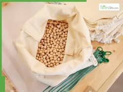 Obesity Alert: Is Soybean Oil Secretly Making You Gain Weight?