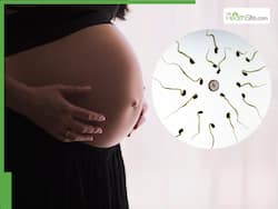 Sperm Donor With Cancer-Causing Gene Fathered Almost 200 Children Across Europe, Some Have Already Died