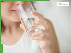 प्रदूषण का प्रभाव कम करने में मदद करेगा पानी, जानें 1 दिन में कितना पानी पीना चाहिए?