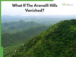 What If The Aravalli Hills Vanished? The Health Risks Of Climate Change You Need To Know